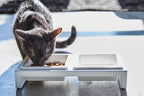 Pet Food Bowl product image 4