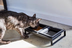 Pet Food Bowl product image 10