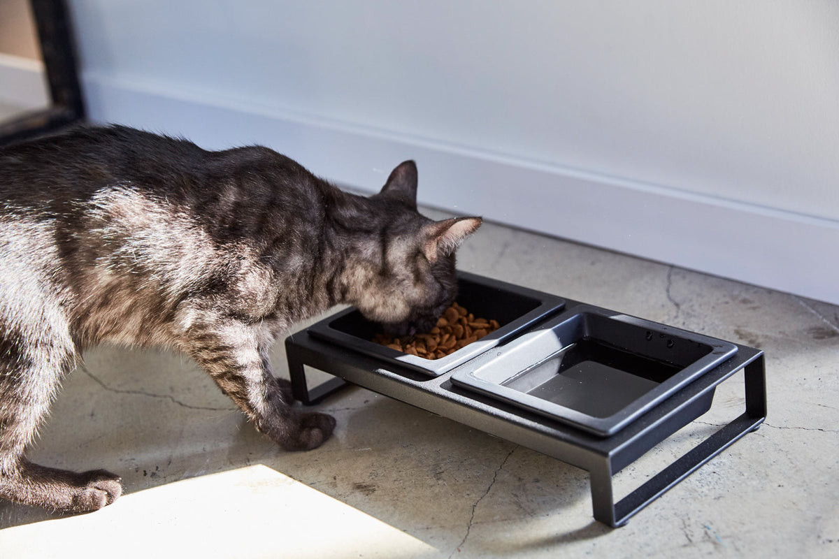 Pet Food Bowl product image 10