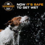 Dog Training Collar product image 5