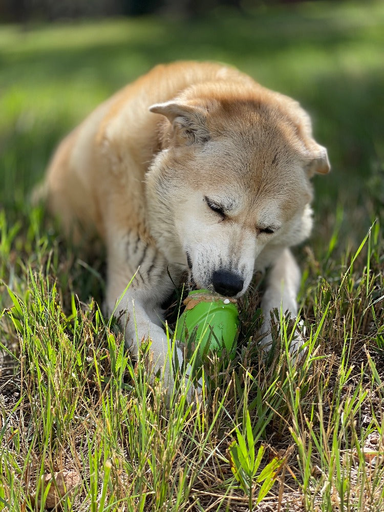 Rubber Dog Toy product image 9