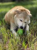 Rubber Dog Toy product image 9