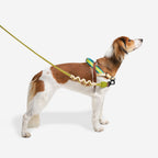 No-Pull Dog Harness product image 2