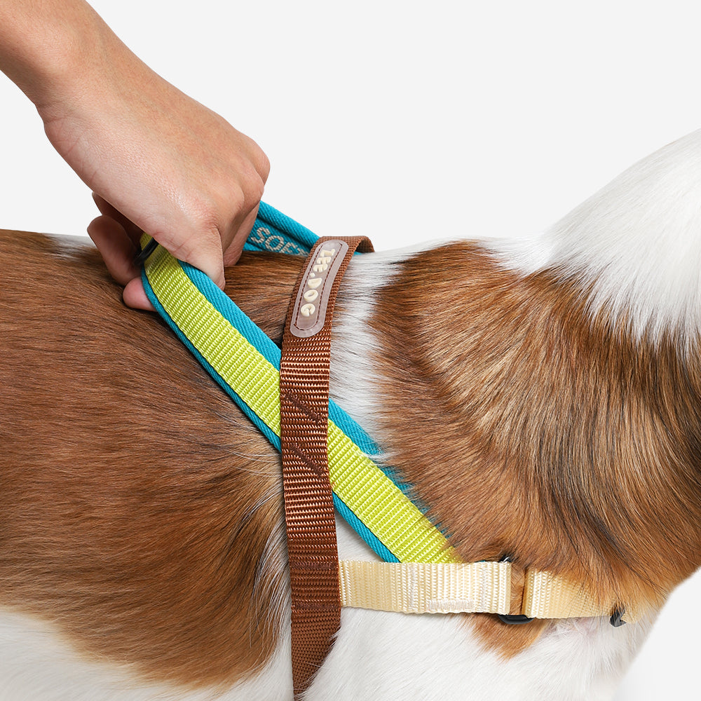 No-Pull Dog Harness product image 3