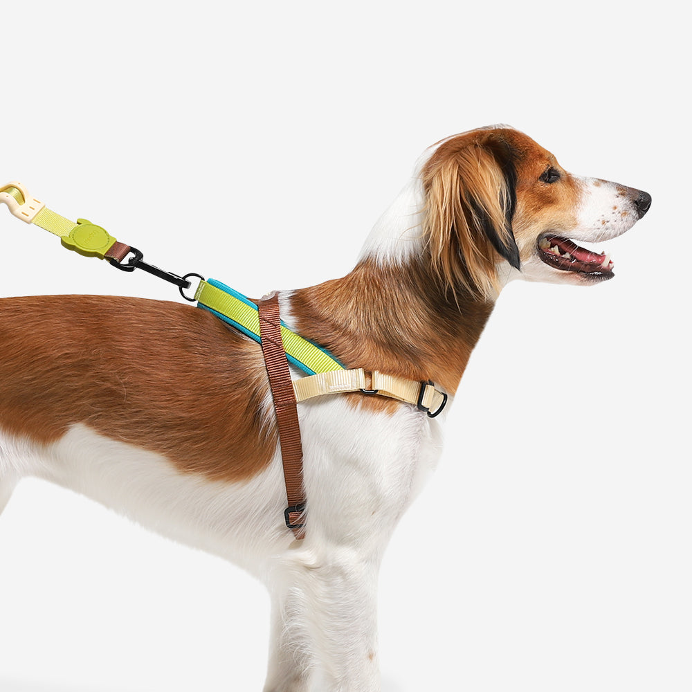 No-Pull Dog Harness product image 4