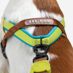 No-Pull Dog Harness product image 5
