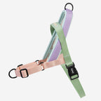 No-Pull Dog Harness product image 1