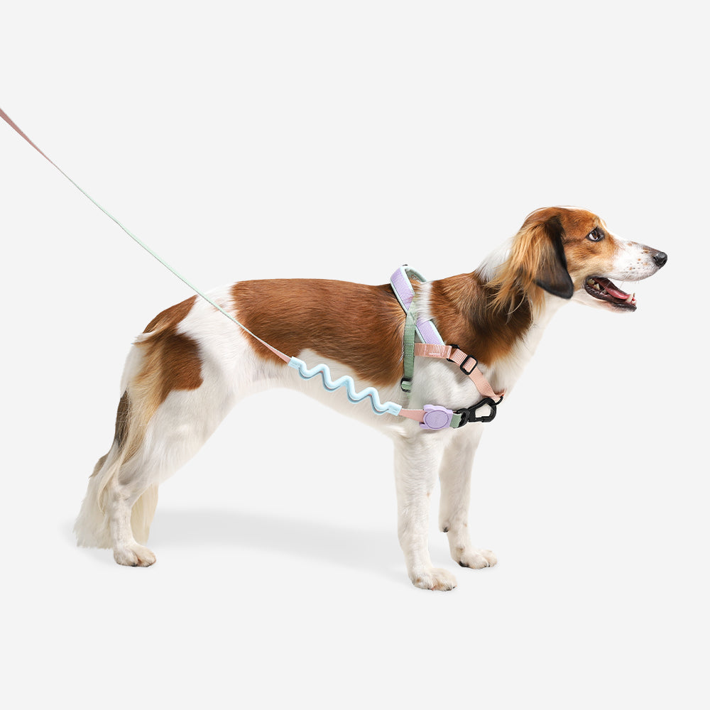 No-Pull Dog Harness product image 2