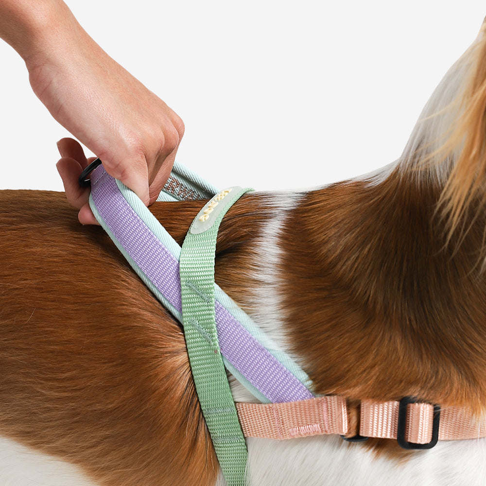 No-Pull Dog Harness product image 3