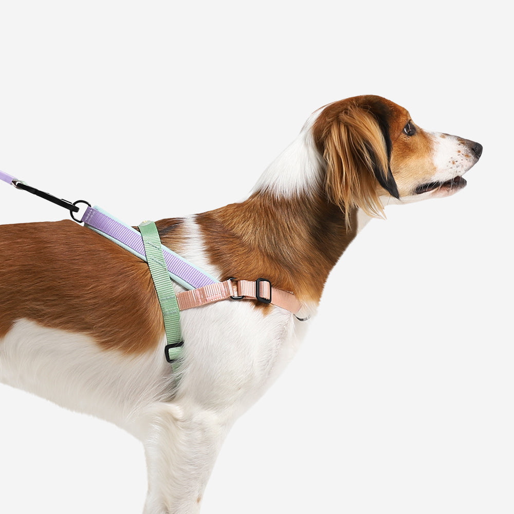 No-Pull Dog Harness product image 4