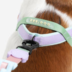 No-Pull Dog Harness product image 5