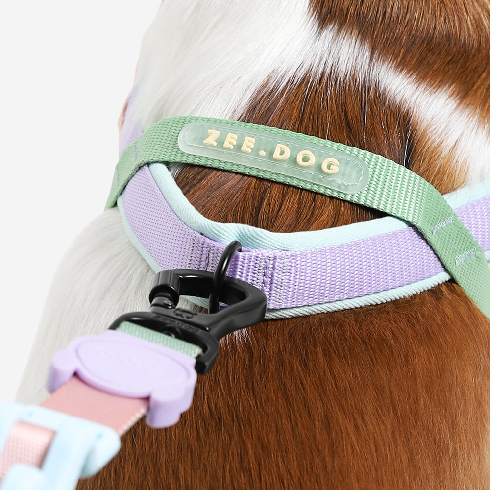 No-Pull Dog Harness product image 5