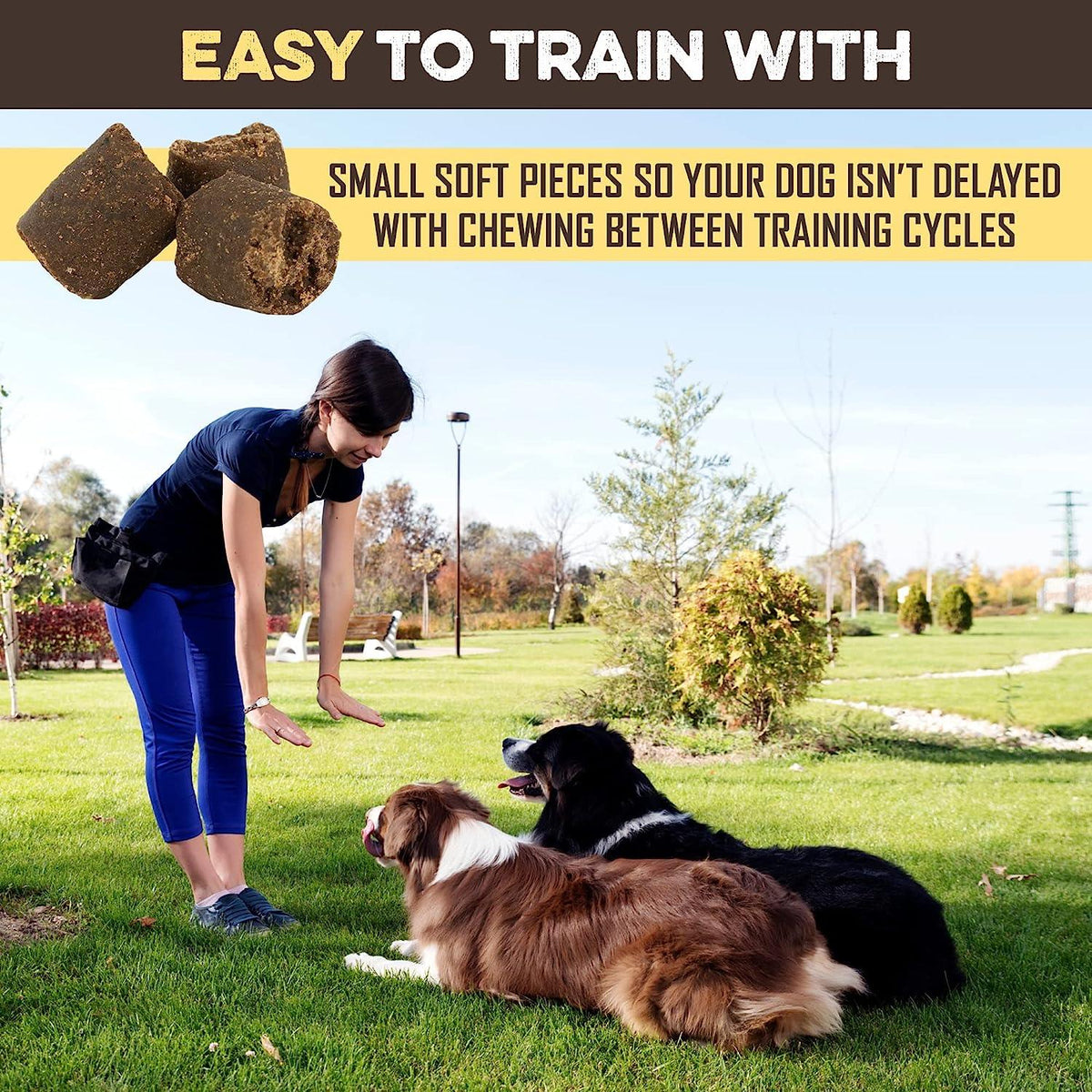 Dog Training Treats product image 7