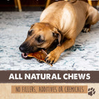 Pig Ear Dog Chews product image 3