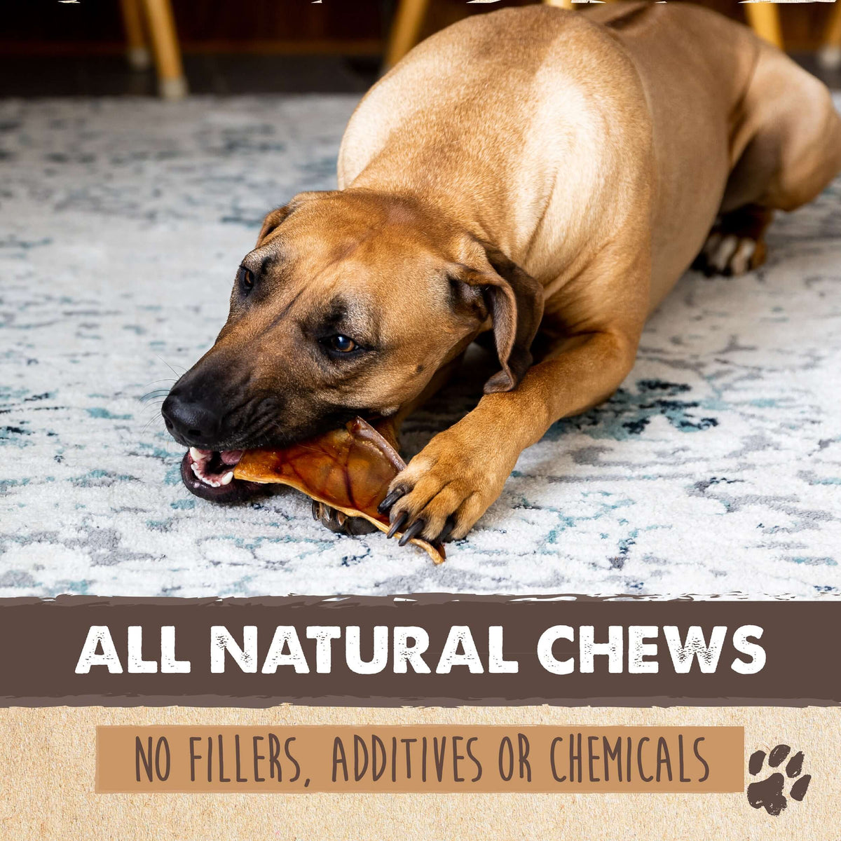 Pig Ear Dog Chews product image 3