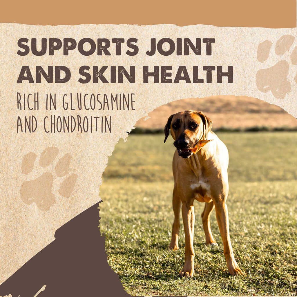 Pig Ear Dog Chews product image 5