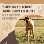 Pig Ear Dog Chews product image 5