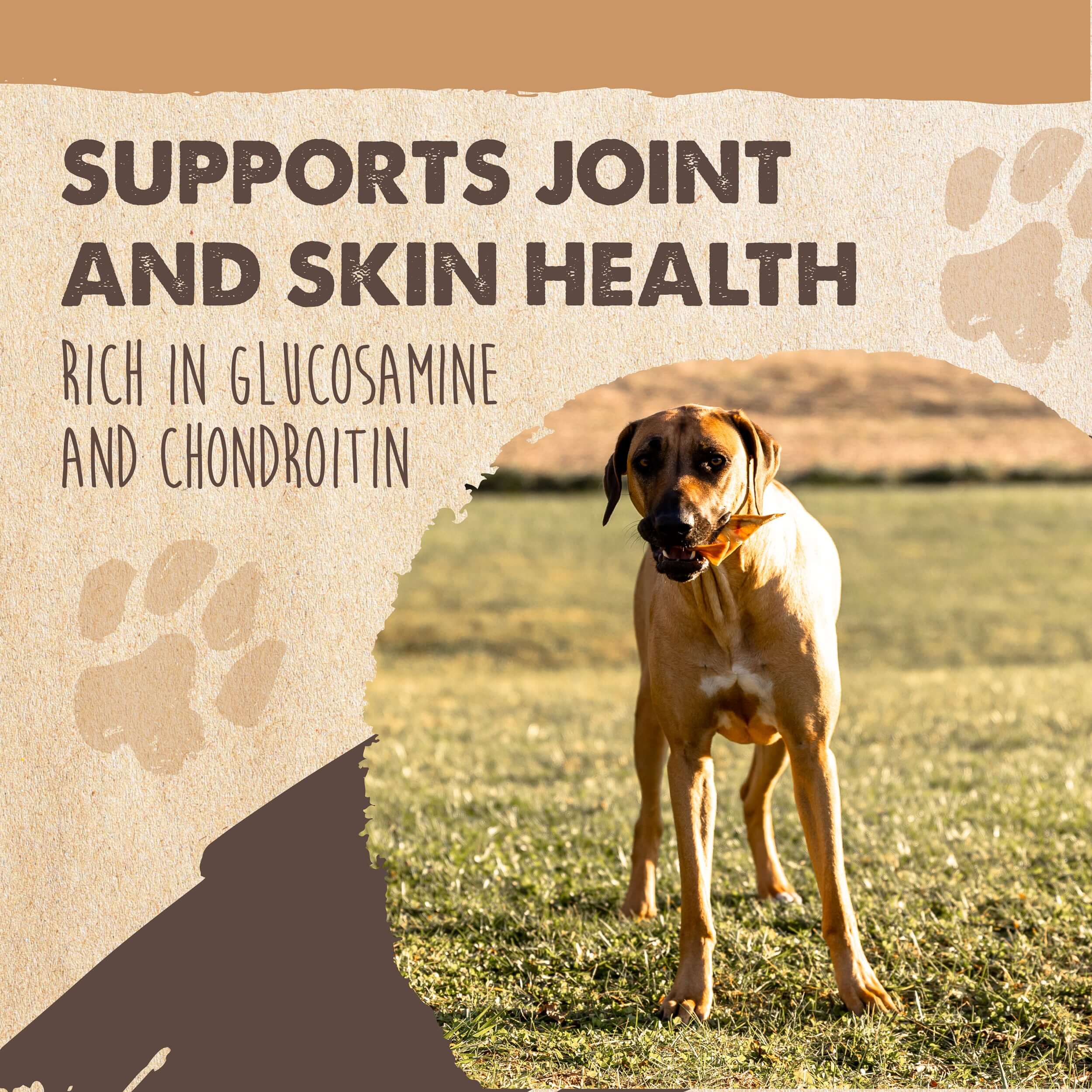 Pig Ear Dog Chews product image 5
