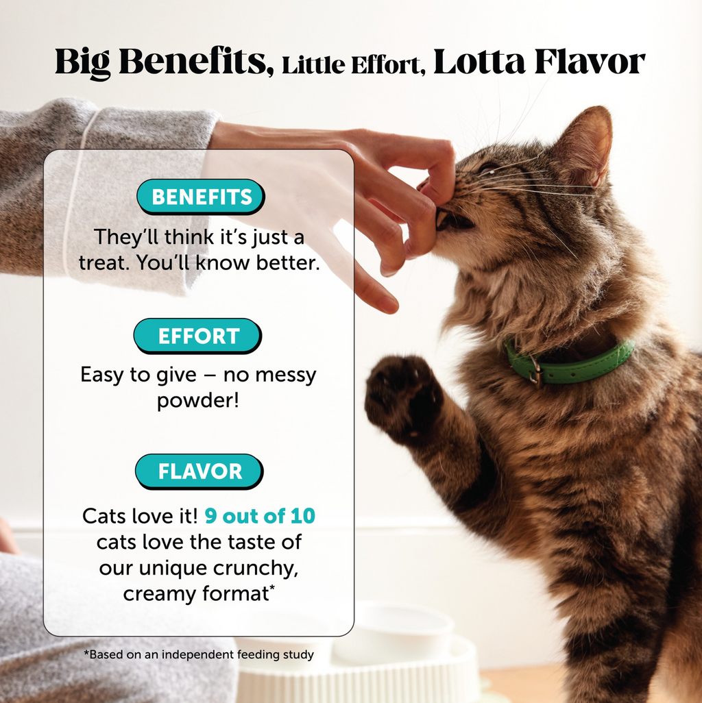 Cat Supplement Bundle product image 5