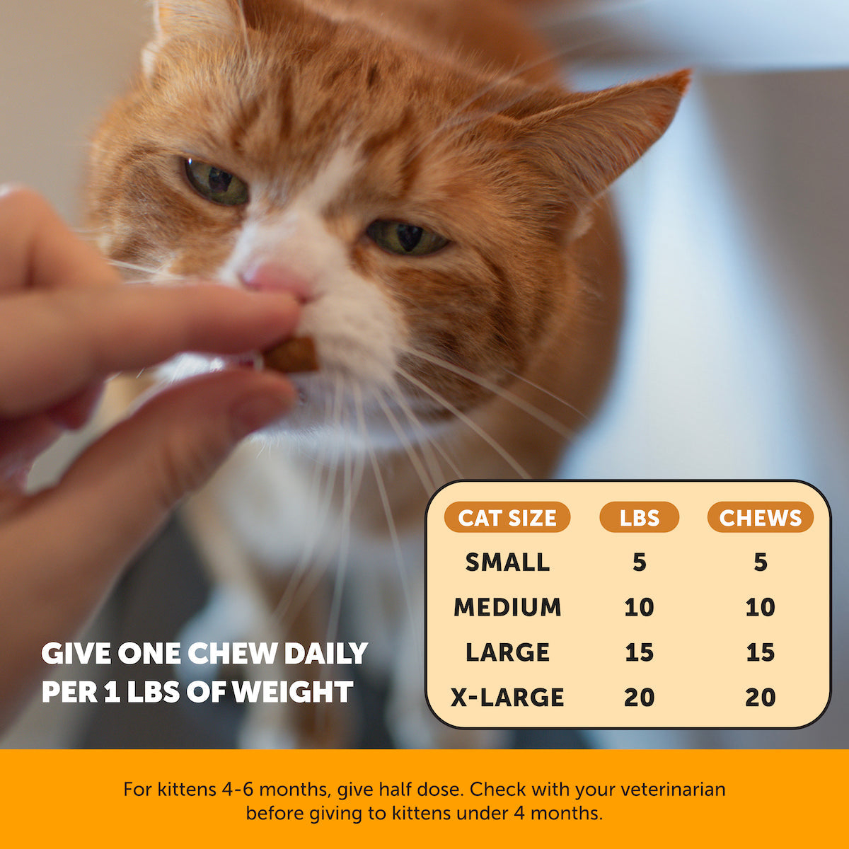 Cat Wellness Bundle product image 9