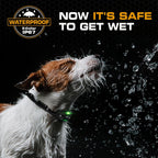 Dog Training Collars product image 4
