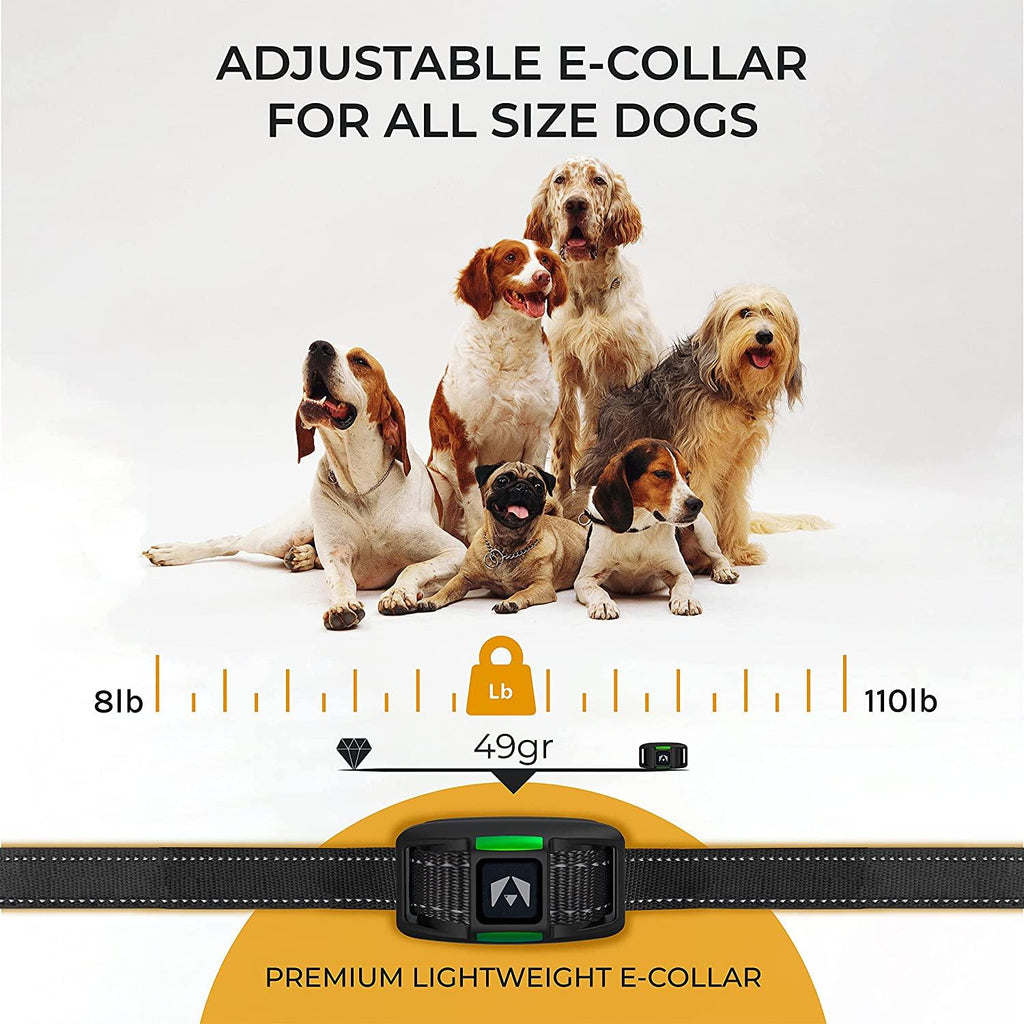 Dog Training Collars product image 6