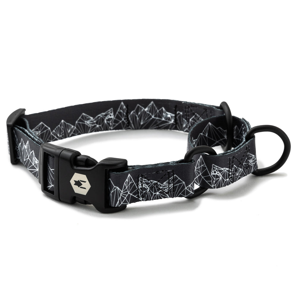 Martingale dog collar product image 1