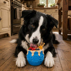 Dog Treat Dispenser product image 7