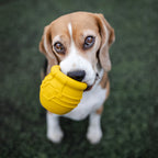 Dog Treat Dispenser product image 18