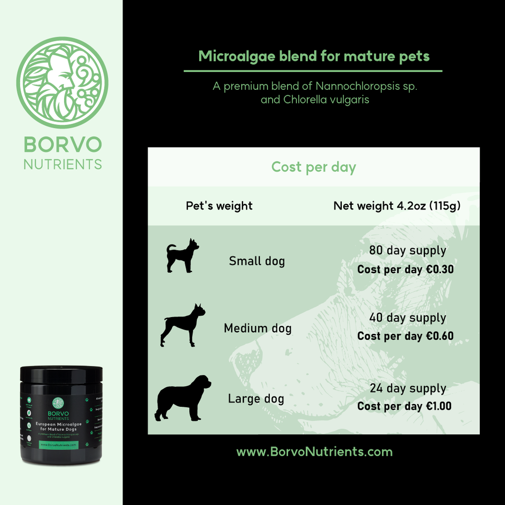 Dog Chlorella Supplement product image 2