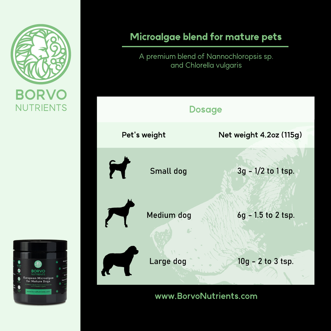 Dog Chlorella Supplement product image 3