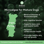 Dog Chlorella Supplement product image 6