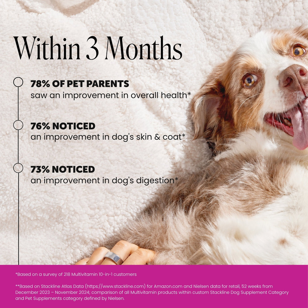 Dog Multivitamin Chews product image 3
