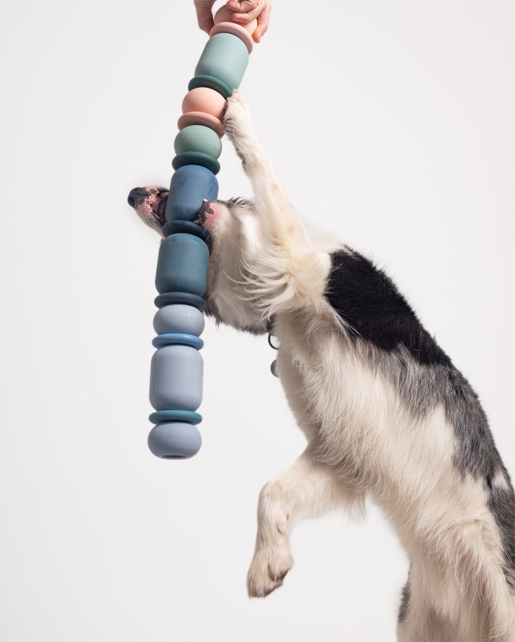Dog Puzzle Toy product image 10