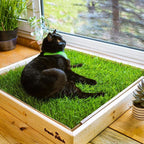 Pet Grass Pad Pack product image 1