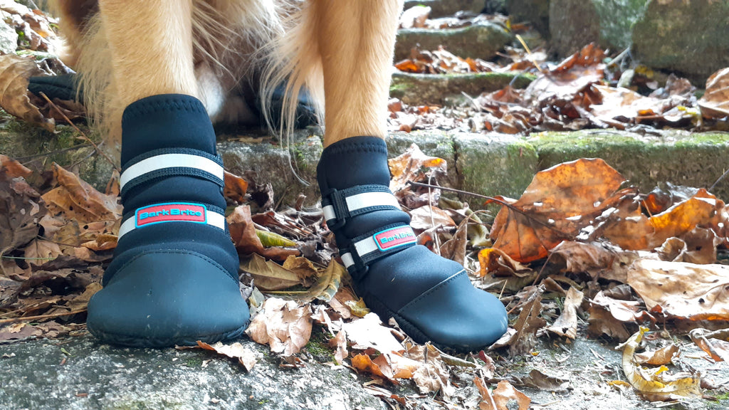 Dog Booties product image 6