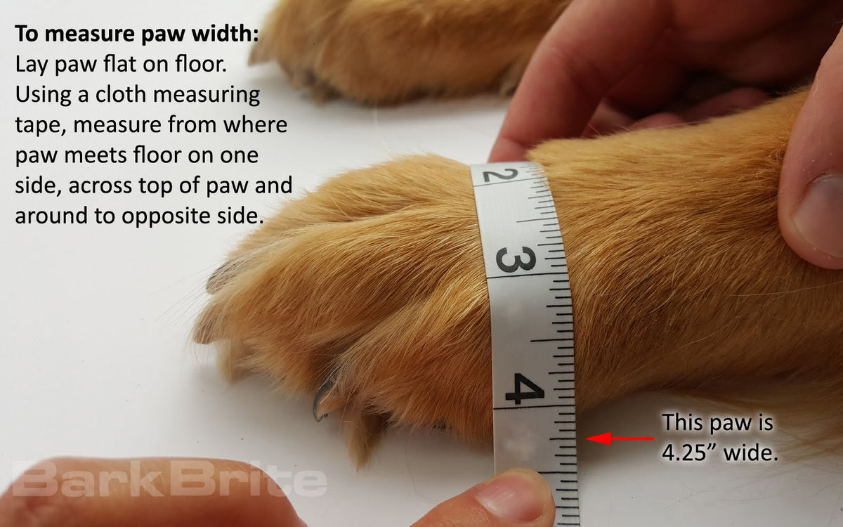 Dog Booties product image 7