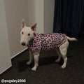 Waterproof Dog Vest product image 1