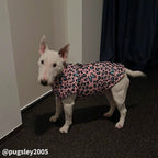 Waterproof Dog Vest product image 1