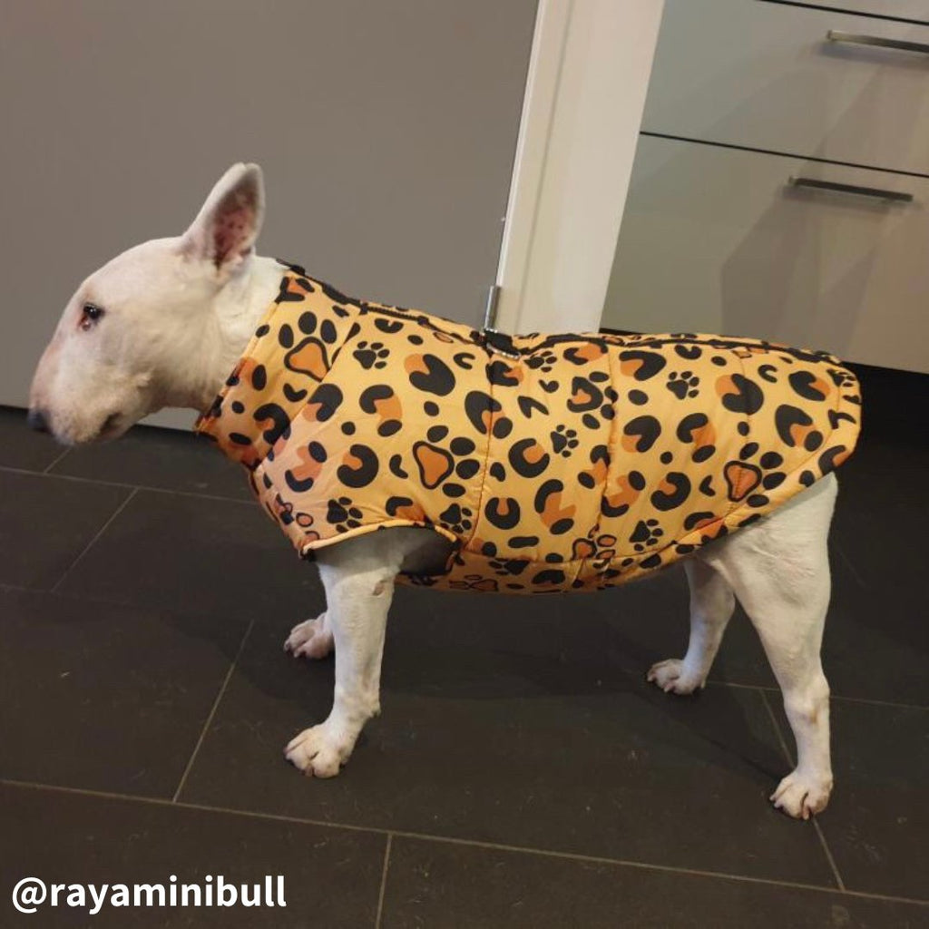 Waterproof Dog Vest product image 1