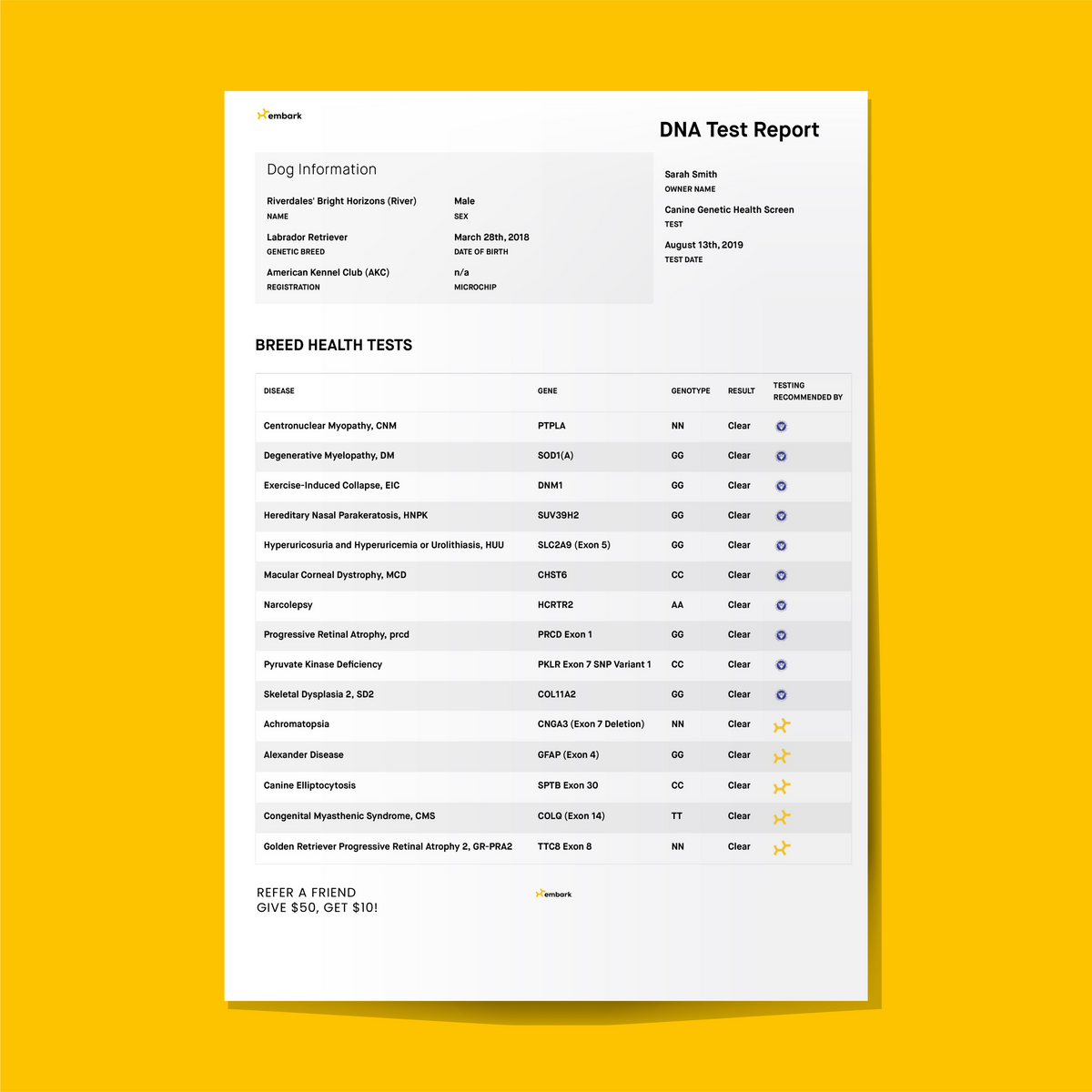 Dog DNA Test product image 2