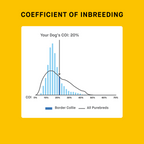 Dog DNA Test product image 5