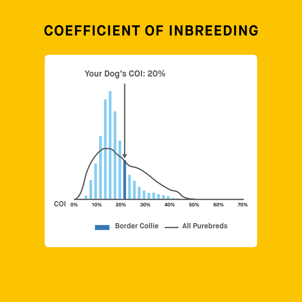 Dog DNA Test product image 5