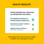 Dog DNA Test product image 6