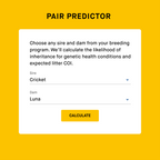 Dog DNA Test product image 7