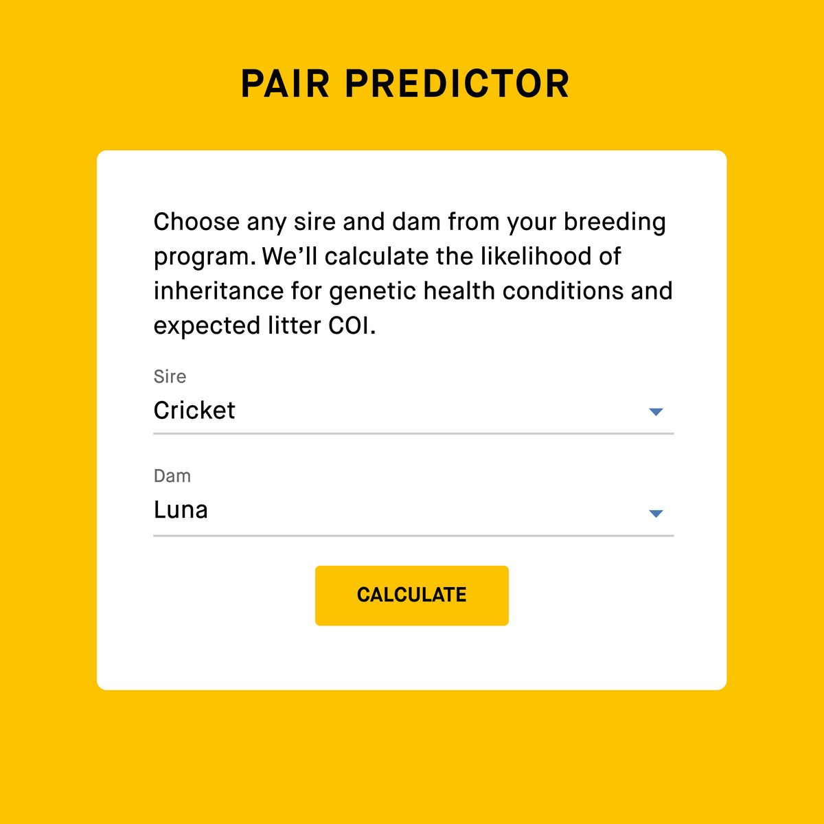 Dog DNA Test product image 7