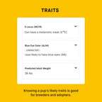 Dog DNA Test product image 8