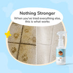 Pet Stain Remover product image 2
