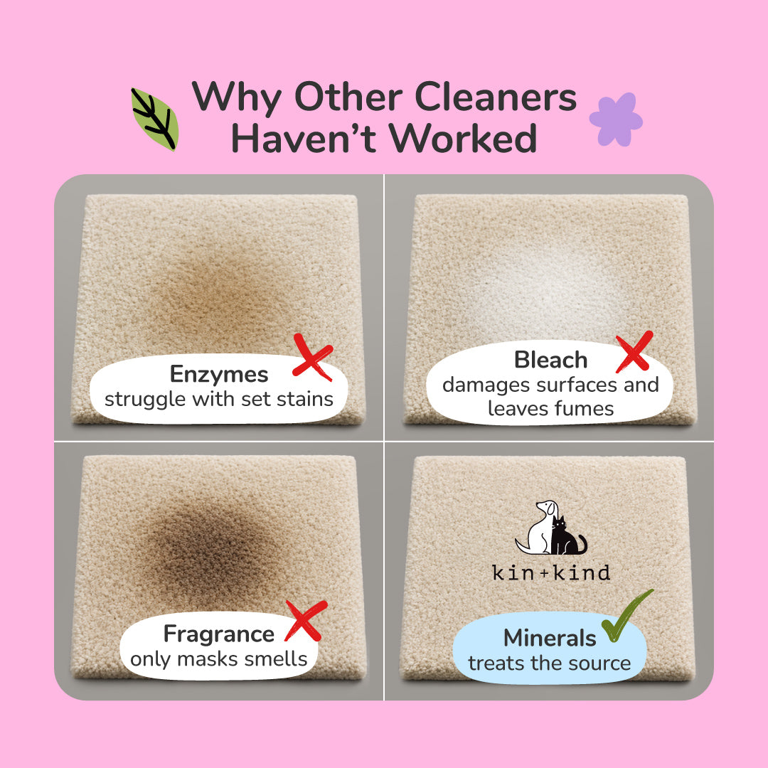 Pet Stain Remover product image 3