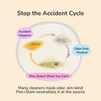 Pet Stain Remover product image 4